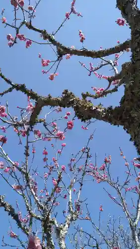 観心寺(大阪府)