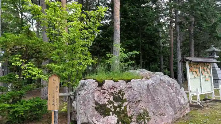 旭川天満宮の自然