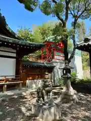 赤留比売命神社（杭全神社飛地境内社）の狛犬