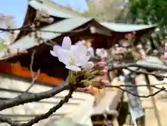 滑川神社 - 仕事と子どもの守り神の自然