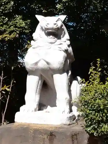 駒木諏訪神社の狛犬