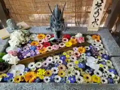 札幌諏訪神社の手水