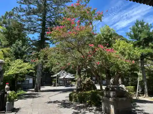 延光寺の{uncategorized: "未分類", other: "その他", undefined: "問題あり", building: "その他建物", grave: "お墓", sacred_gate: "鳥居", guardian: "狛犬", statue: "像", buddha: "仏像", history: "歴史", nature: "自然", garden: "庭園", animal: "動物", pagoda: "塔", temizu: "手水舎", mountain_gate: "山門・神門", sanctuary: "本殿・本堂", subordinate: "末社・摂社", art: "芸術", scenery: "景色", jizo: "地蔵", ema: "絵馬", goshuin: "御朱印", omikuji: "おみくじ", items: "授与品その他", amulet: "お守り", goshuincho: "御朱印帳", eats: "食事", festival: "お祭り", votive_dance: "神楽", shichigosan: "七五三参", wedding: "結婚式", experience: "体験その他", initially: "初詣", around: "周辺", anti_infection: "感染症対策"}