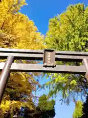 諏訪神社(東京都)