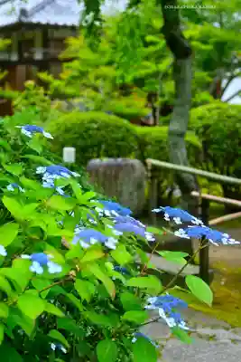 長壽寺（長寿寺）(神奈川県)