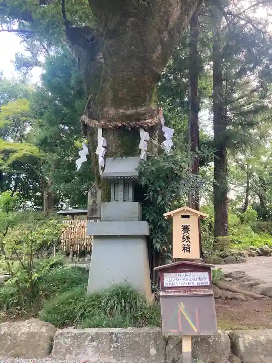 武田神社(山梨県)