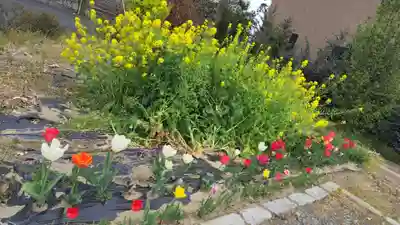 玉田神社(京都府)