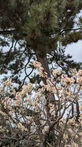 白雲神社(京都府)