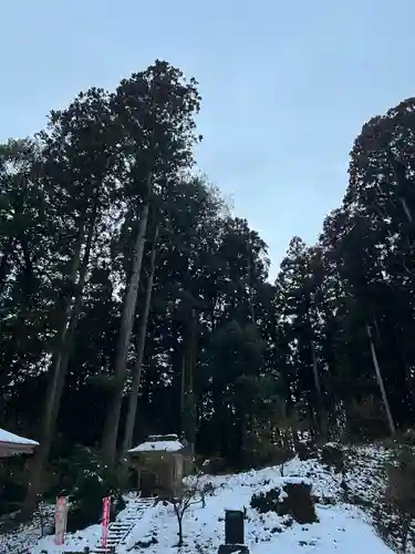 大宮温泉神社(栃木県)