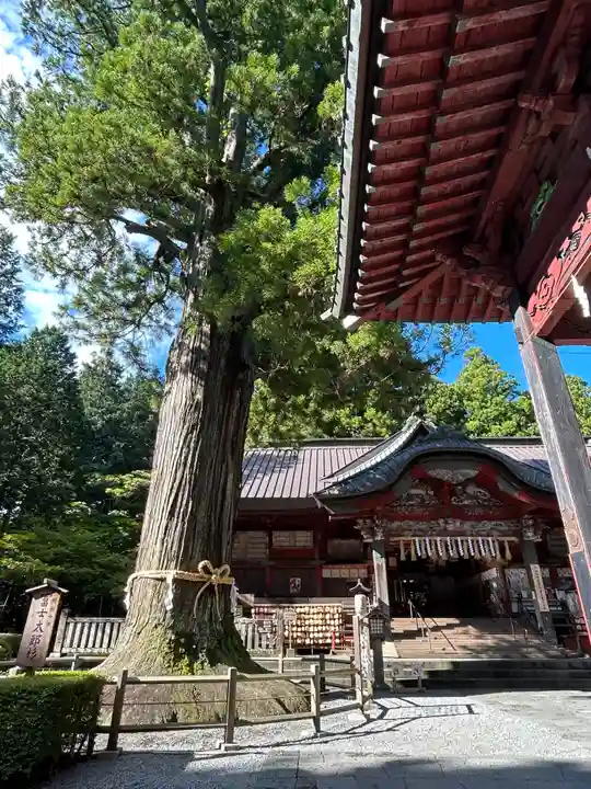 北口本宮冨士浅間神社(山梨県)