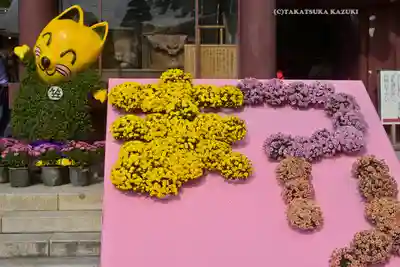 笠間稲荷神社(茨城県)