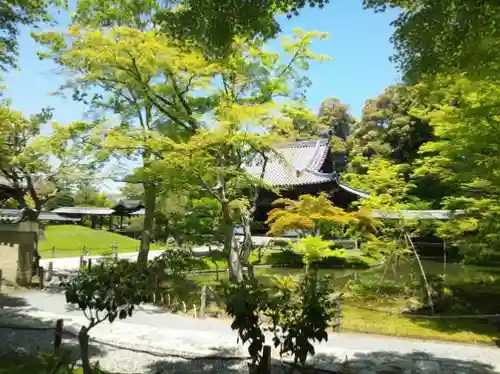 高台寺（高台寿聖禅寺・高臺寺）(京都府)