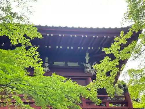 本土寺の山門・神門