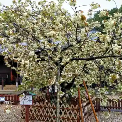 上地八幡宮(愛知県)