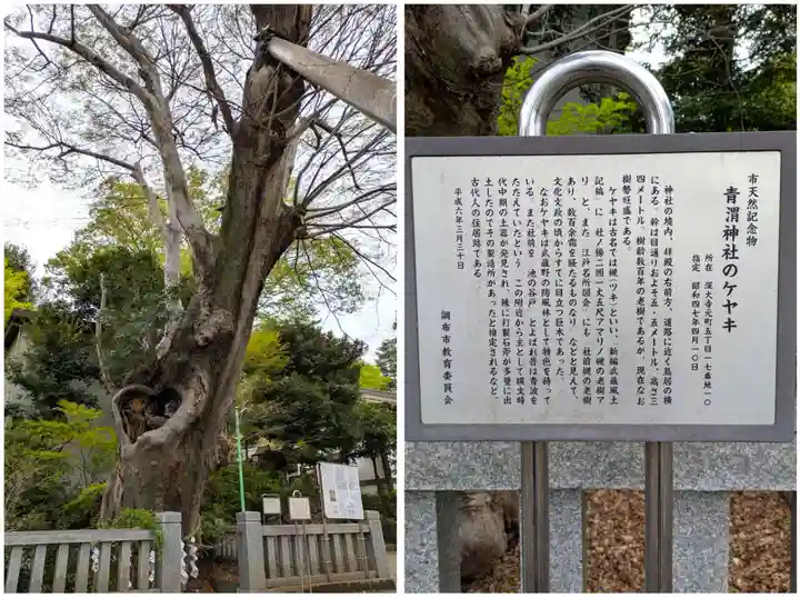 青渭神社(東京都)