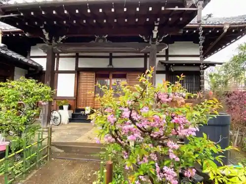 加納院の本殿・本堂