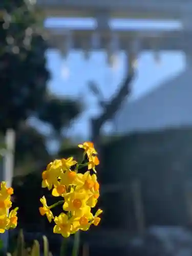 横浜御嶽神社の自然