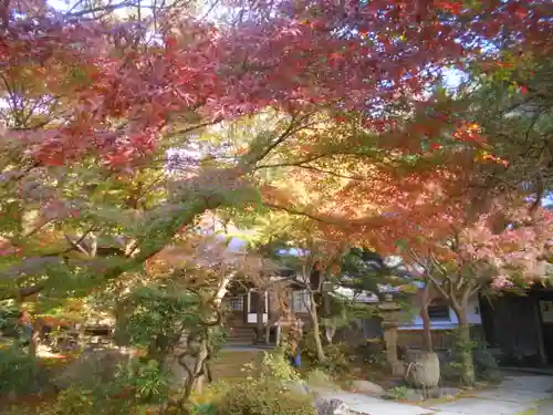 覚園寺の庭園