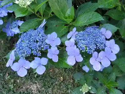 赤城神社(群馬県)