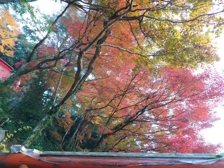 太皷谷稲成神社(島根県)