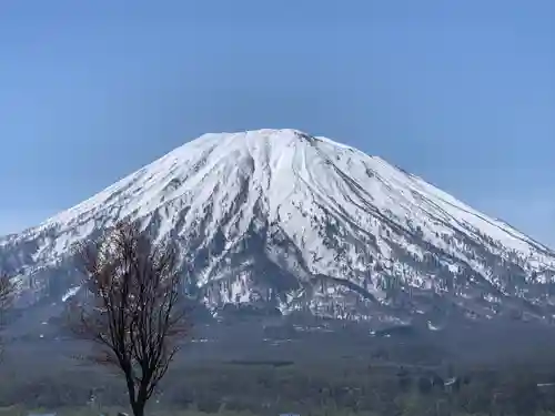 倶知安神社の景色