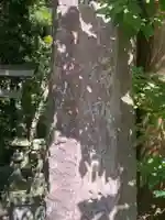 十和田神社のその他建物