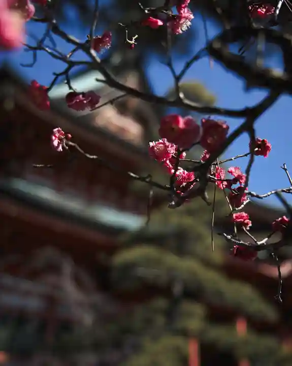 甲斐善光寺(山梨県)