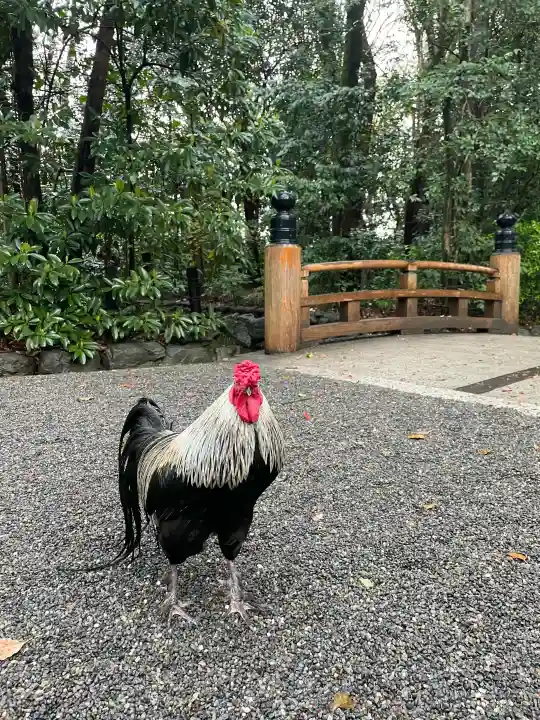 熱田神宮の{uncategorized: "未分類", other: "その他", undefined: "問題あり", building: "その他建物", grave: "お墓", sacred_gate: "鳥居", guardian: "狛犬", statue: "像", buddha: "仏像", history: "歴史", nature: "自然", garden: "庭園", animal: "動物", pagoda: "塔", temizu: "手水舎", mountain_gate: "山門・神門", sanctuary: "本殿・本堂", subordinate: "末社・摂社", art: "芸術", scenery: "景色", jizo: "地蔵", ema: "絵馬", goshuin: "御朱印", omikuji: "おみくじ", items: "授与品その他", amulet: "お守り", goshuincho: "御朱印帳", eats: "食事", festival: "お祭り", votive_dance: "神楽", shichigosan: "七五三参", wedding: "結婚式", experience: "体験その他", initially: "初詣", around: "周辺", anti_infection: "感染症対策"}