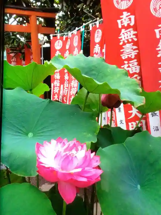 宗延寺(東京都)