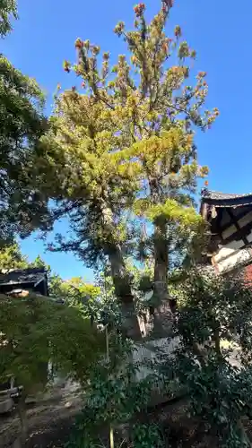 別宮神社(福井県)