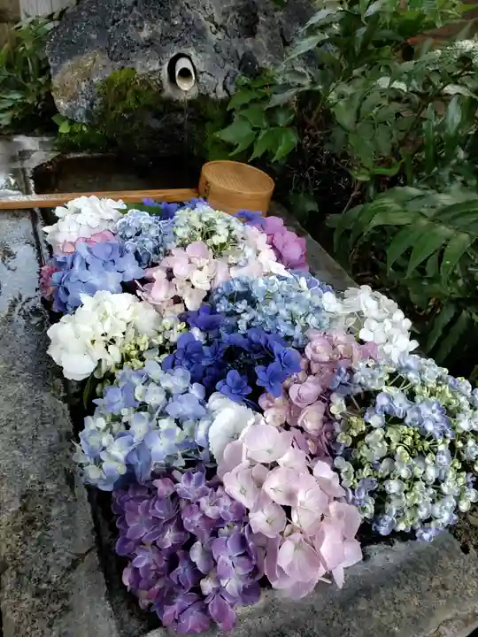 本郷氷川神社(東京都)