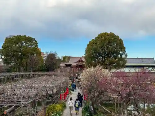 亀戸天神社の{uncategorized: "未分類", other: "その他", undefined: "問題あり", building: "その他建物", grave: "お墓", sacred_gate: "鳥居", guardian: "狛犬", statue: "像", buddha: "仏像", history: "歴史", nature: "自然", garden: "庭園", animal: "動物", pagoda: "塔", temizu: "手水舎", mountain_gate: "山門・神門", sanctuary: "本殿・本堂", subordinate: "末社・摂社", art: "芸術", scenery: "景色", jizo: "地蔵", ema: "絵馬", goshuin: "御朱印", omikuji: "おみくじ", items: "授与品その他", amulet: "お守り", goshuincho: "御朱印帳", eats: "食事", festival: "お祭り", votive_dance: "神楽", shichigosan: "七五三参", wedding: "結婚式", experience: "体験その他", initially: "初詣", around: "周辺", anti_infection: "感染症対策"}
