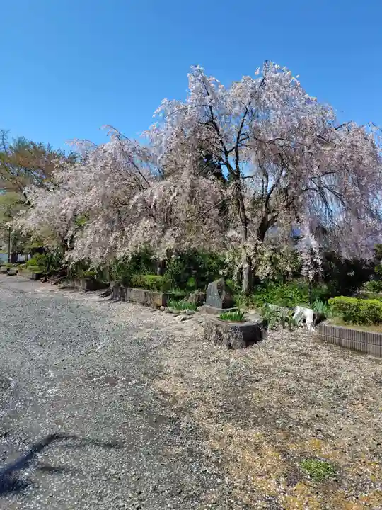 願成寺(福島県)