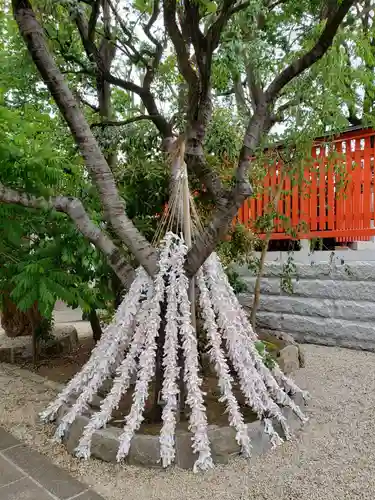 馬橋稲荷神社のおみくじ