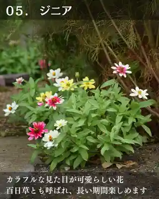 宝光寺(北海道)