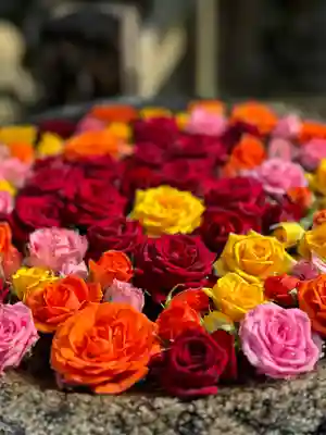 丹生都比売神社(和歌山県)