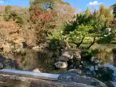 東城寺の自然