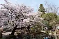 恵林寺(山梨県)