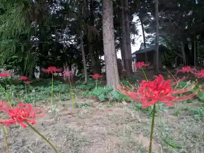 伏木香取神社(茨城県)