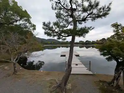 大覚寺(京都府)