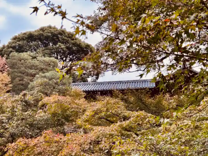 東福禅寺(東福寺)(京都府)