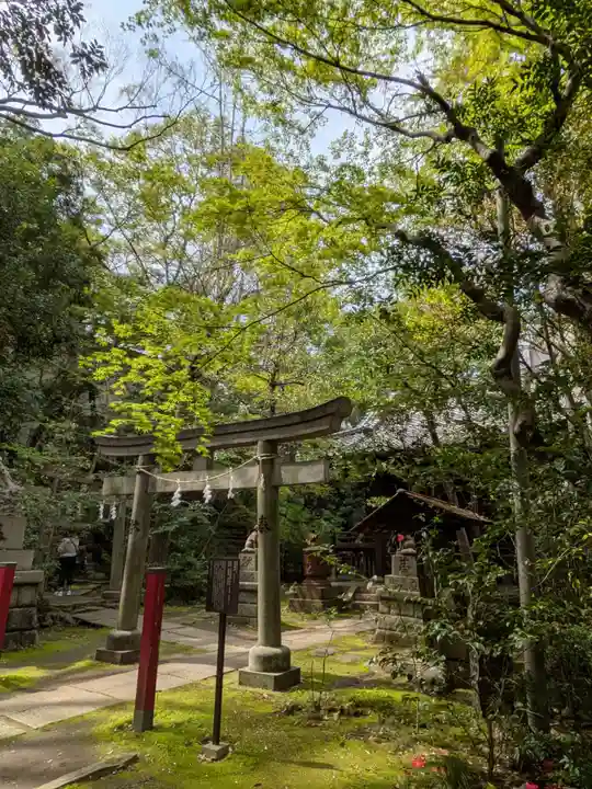 赤坂氷川神社(東京都)