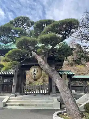 長谷寺の山門・神門