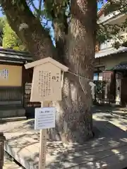 晴明神社の歴史