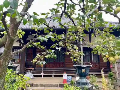 福相寺(東京都)