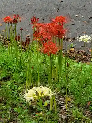 陽林寺(福島県)