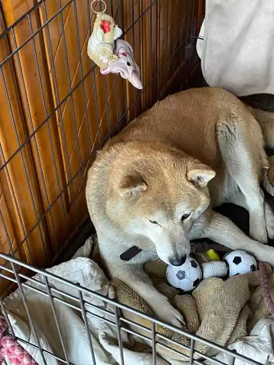 笠䅣稲荷神社(神奈川県)