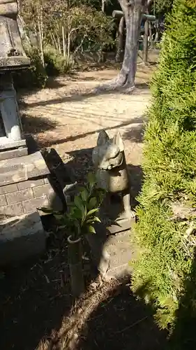 浅間神社の狛犬