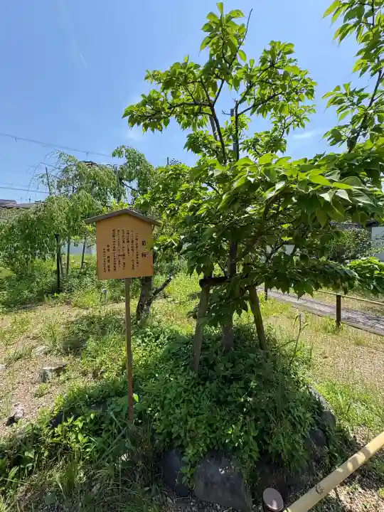 橋寺 放生院の{uncategorized: "未分類", other: "その他", undefined: "問題あり", building: "その他建物", grave: "お墓", sacred_gate: "鳥居", guardian: "狛犬", statue: "像", buddha: "仏像", history: "歴史", nature: "自然", garden: "庭園", animal: "動物", pagoda: "塔", temizu: "手水舎", mountain_gate: "山門・神門", sanctuary: "本殿・本堂", subordinate: "末社・摂社", art: "芸術", scenery: "景色", jizo: "地蔵", ema: "絵馬", goshuin: "御朱印", omikuji: "おみくじ", items: "授与品その他", amulet: "お守り", goshuincho: "御朱印帳", eats: "食事", festival: "お祭り", votive_dance: "神楽", shichigosan: "七五三参", wedding: "結婚式", experience: "体験その他", initially: "初詣", around: "周辺", anti_infection: "感染症対策"}