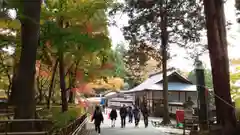 中尊寺の自然